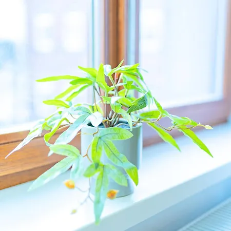 Oh Key - Unlock Your - Zentral In Fulda-city 3*