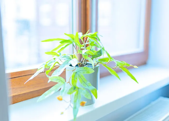 Oh Key - Unlock Your - Zentral In Fulda-city 3*